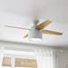 Hunter Fan 52" Cranbrook 4 - Blade Flush Mount Ceiling Fan w/ Remote Control & Light Kit Included in Gray | Wayfair 50264