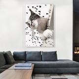 ARTCANVAS Aegean Cat Breed Birds - Wrapped Canvas Graphic Art Print Metal in Black/Brown/White | 60 H x 40 W x 1.5 D in | Wayfair ACICAT6-1L-60x40