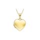 CARISSIMA Gold Women's 9ct Yellow Gold 15.5mm x 22.5mm Polished Heart Locket on 9ct Yellow Gold 25 Diamond Cut Curb Chain 46cm/18