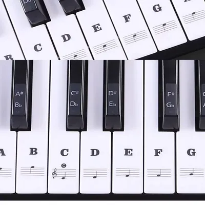 Autocollants transparents pour piano notes et portée stickers adaptés aux claviers de 54 61 et 88