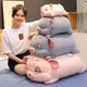 Peluche Ultra Douce en Forme d'Animaux pour Enfant Jouet Coussin en Forme de Hamster et Cochon