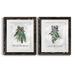 The Holiday Aisle® Sprig of Christmas Time - 2 Piece Picture Frame Graphic Art Print Set Paper, in Black/Green/White | 27.5 H x 37.5 W in | Wayfair