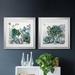 Dakota Fields Succulent Garden I - 2 Piece Picture Frame Painting Print Set on Canvas Canvas, Solid Wood in Black | 17.5 H x 35 W x 1.5 D in | Wayfair