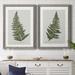 Bay Isle Home™ Fern Studies I - 2 Piece Painting Print Set Canvas in Green | 31 H x 44 W in | Wayfair E242CCE6335E4A85AC1202AE6D5D3778