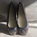 J. Crew Shoes | J Crew Girls Classic Glitter Ballet Flats New! | Color: Blue/Silver | Size: 3bb
