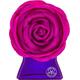 Bond No.9 New York Spring Fling Eau de Parfum (EdP) 100 ml Parfüm