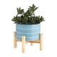 Rosecliff Heights Planter on Stand - Ceramic Planter on Wooden Base - Contemporary Striped Design Wood/Ceramic in Blue | 6 H x 6 W x 6 D in | Wayfair