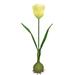 Primrue Tulip Stem Natural Fibers in Yellow | 28.8 H x 45 W x 10 D in | Wayfair 66ECE50FE6154A9EB0D39F6F1431F10A