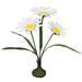 Primrue Daisy w/ Stems Natural Fibers in Yellow | 19.2 H x 23 W x 10 D in | Wayfair 0E5946B37C304B249E6033E11F2838D8