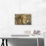ARTCANVAS Lion in Savanah Home Decor - Wrapped Canvas Photograph Print Canvas, Wood in Brown | 12 H x 18 W x 1.5 D in | Wayfair OPEPHO234-1L-18x12