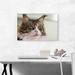 ARTCANVAS Maine Coon Cat - Wrapped Canvas Photograph Print Canvas in Gray | 18 H x 26 W x 0.75 D in | Wayfair OPEPHO252-1S-26x18