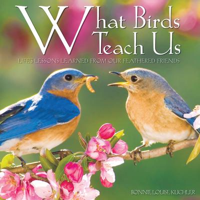 Willow Creek Press What Birds Teach Us Book