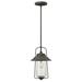 Hinkley Belden Place 1-Light Outdoor Hanging Lantern Glass/Aluminium/Metal in Brown/Gray | 16.5 H x 10 W x 10 D in | Wayfair 2862OZ