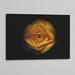 Ebern Designs Backyard Flowers 74 by Brian Carson - Photograph Print Canvas, Latex in Black/Yellow | 8 H x 12 W x 1.5 D in | Wayfair