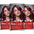 Brillance Intensiv-Color-Creme 859 Violette Wildseide Stufe 3 (3 x 160 ml), dauerhafte Haarfarbe mit Diamant-Glanz-Effekt & Pflege-Conditioner, 10 Wochen Farbintensität