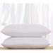 Alwyn Home Arzola Outdoor Rectangular Pillow Insert Polyester/Polyfill in White | 16 H x 20 W x 4 D in | Wayfair 193AF366EA0C48C9B62120E61EA45911