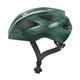 ABUS Macator Racing Bike Helmet - Sporty Bicycle Helmet for Beginners - for Women and Men - Green, Size S