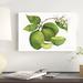 August Grove® Citrus Garden IV by Kathleen Parr McKenna - Wrapped Canvas Painting Print Canvas in Green/White | 8 H x 12 W x 1.25 D in | Wayfair