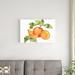 August Grove® Citrus Garden VIII by Kathleen Parr McKenna - Wrapped Canvas Painting Print Canvas in Green/Orange/White | Wayfair
