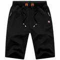 MANLUODANNI Sports Men's Classic Fit Shorts Pants Summer Beach Trousers Short #16Black M