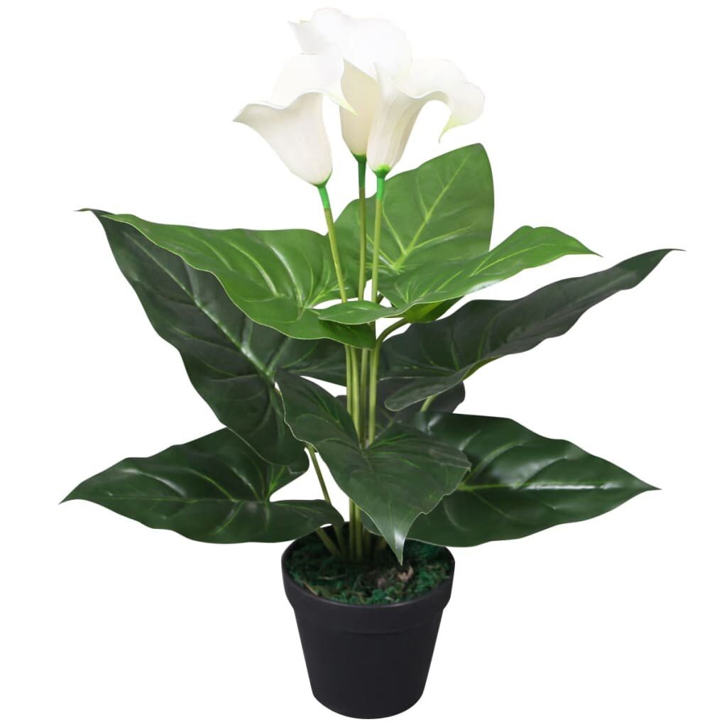 vidaXL Künstliche Calla-Lilie mit Topf 45 cm Weiß Image