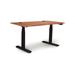 Copeland Furniture Invigo Height Adjustable Desk Wood in Black | 30 H x 48 W in | Wayfair 3048-RRC-EE-03-B-G-N-P-N-N-N