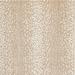 Gazelle Wool Area Rug - Beige/White, 5'3" x 7'7" - Frontgate