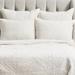 Birch Lane™ Fieldway Single Quilt Velvet/Cotton in White | King Quilt | Wayfair 5135BBA80571457082F532BE40398A77