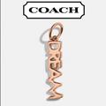 Coach Jewelry | Coach Dream Charm | Color: Gold/Silver | Size: 1/4" X 3/4"