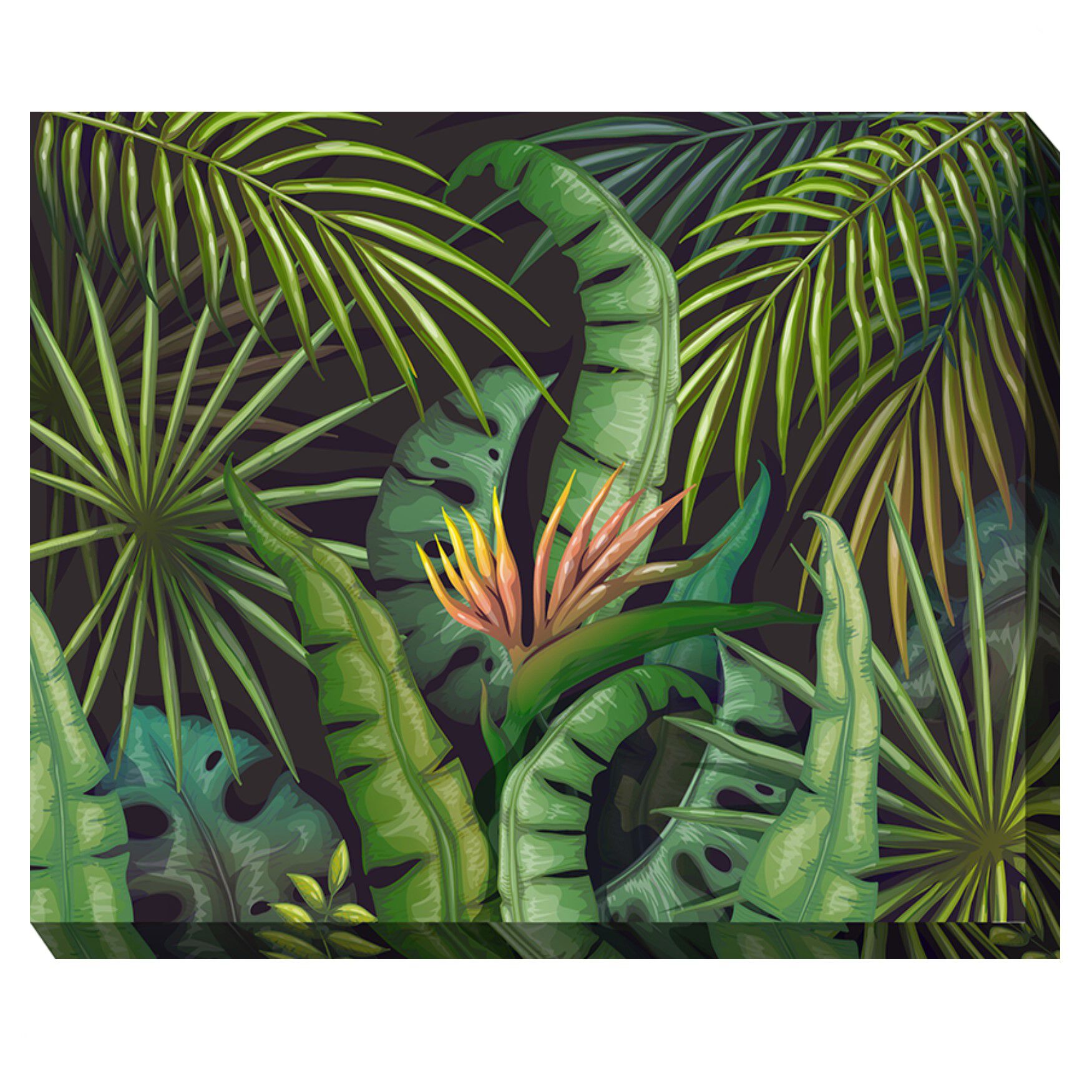 JUNGLE BIRD OUTDOOR ART 40X30 by West of the Wind in Multi