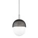 Hudson Valley Lighting Nyack 9 Inch Mini Pendant - 6109-PN/BK