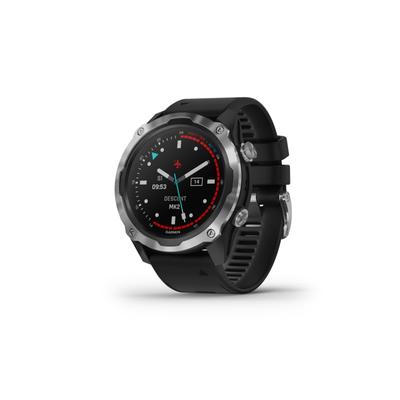 Garmin Descent Mk2 Stainless Steel with Black Band Stainless/Black 010-02132-00