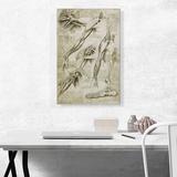 ARTCANVAS Studies of the Human Body Muscles of the Arm & Foot by Leonardo Da Vinci - Wrapped Canvas Painting Print Canvas in Green | Wayfair