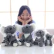Koala australien en peluche pour enfants simulation de haute qualité jouet en peluche beurre