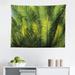 East Urban Home Ambesonne Palm Tree Tapestry, Plam Tree Foliage Tropical Plants Leaves Forest Theme Exotic Natural Beauty Image | Wayfair