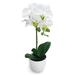 Wade Logan® Phalaenopsis Orchid Centerpieces in Pot Silk/Polyester/Fabric | 17 H x 8.5 W x 6 D in | Wayfair 12567BE1BAE1450EBDBBE3CAB24C90C8