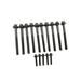 2005-2018 Chrysler 300 Head Bolt Set - SKP