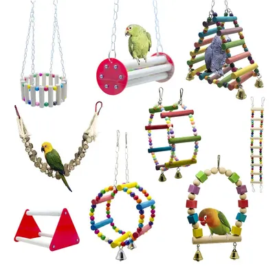 Ensemble de jouets pour oiseaux avec échelle balançoire jouets d'entraînement petit perroquet