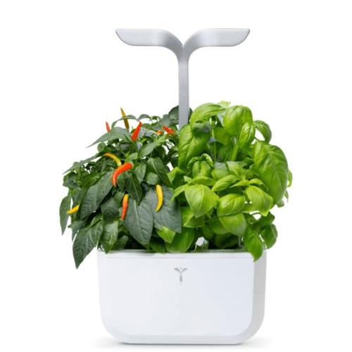 Potager d'intérieur Exky® smart arctic white