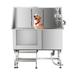 Ledel Professional Steel Pet Grooming Tub | 40.2 H x 49.5 W x 27.5 D in | Wayfair LEPB-1050-00