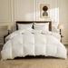 Alwyn Home Luxury 100% Organic All Season 750 Fill Power Goose Feathers Down Comforter Down & Feather Blend/Goose Down in White | Wayfair