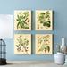 Gracie Oaks 'Popular Old-Fashioned Plant Botanical' 4 Piece Graphic Art Print Set Canvas in Green | 10" H x 8" W | Wayfair