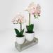 Wade Logan® Phalaenopsis Orchid Centerpieces in Pot Silk/Polyester/Fabric | 13 H x 7.5 W x 5 D in | Wayfair E25C64BCF05C4AE6B11F86FCBB5FC88B