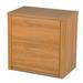 Lark Manor™ Tammara 2-Drawer Lateral Filing Cabinet Wood in Brown | 30.38 H x 30.8 W x 19.63 D in | Wayfair F0355214A575477D8475185521F8A513