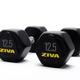 Hexagon steel dumbbell ZIVA performance 12.5 kg 12.5 kg (1 piece)