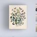 August Grove® Papillion Butterflies by Art Licensing Studio - Wrapped Canvas Graphic Art on Canvas in Brown/Green | 19 H x 14 W x 2 D in | Wayfair