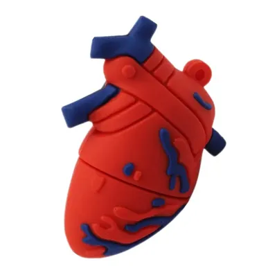 Clé USB en forme d'organes humains dessin animé cœur cerveau docteur mémoire 4 Go 8 Go 16