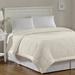 Alcott Hill® Windom Lightweight Down Alternative Blanket w/ Satin Trim Polyester in Gray | 90 W in | Wayfair ACOT4539 46660641