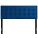 Copper Grove Worishofen Velvet Headboard by Modway Upholstered/Velvet in Blue/Black | 52.5 H x 61.5 W x 3.5 D in | Wayfair MOD-6120-NAV