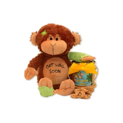 Get Well Soon Teddy Bear & Cookie Pail